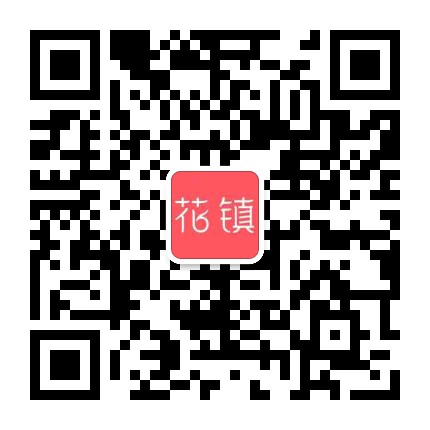 花镇情感